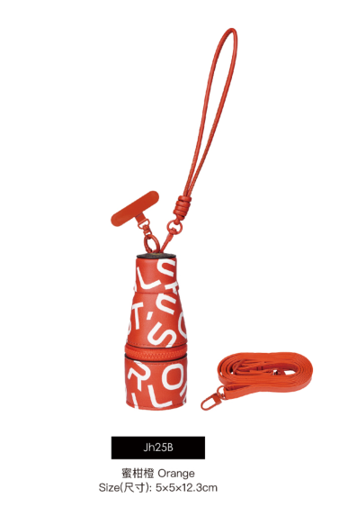 Letter Champagne Bag