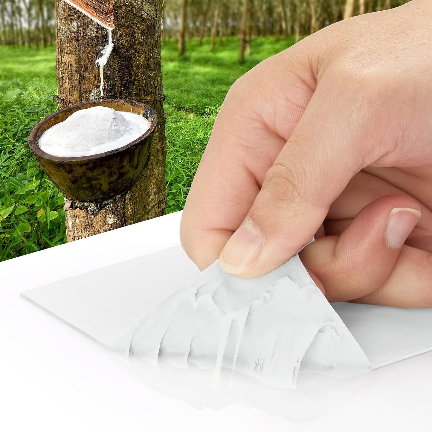 description_selected1