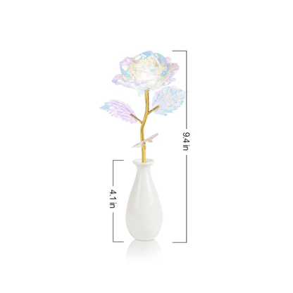 description_selected3